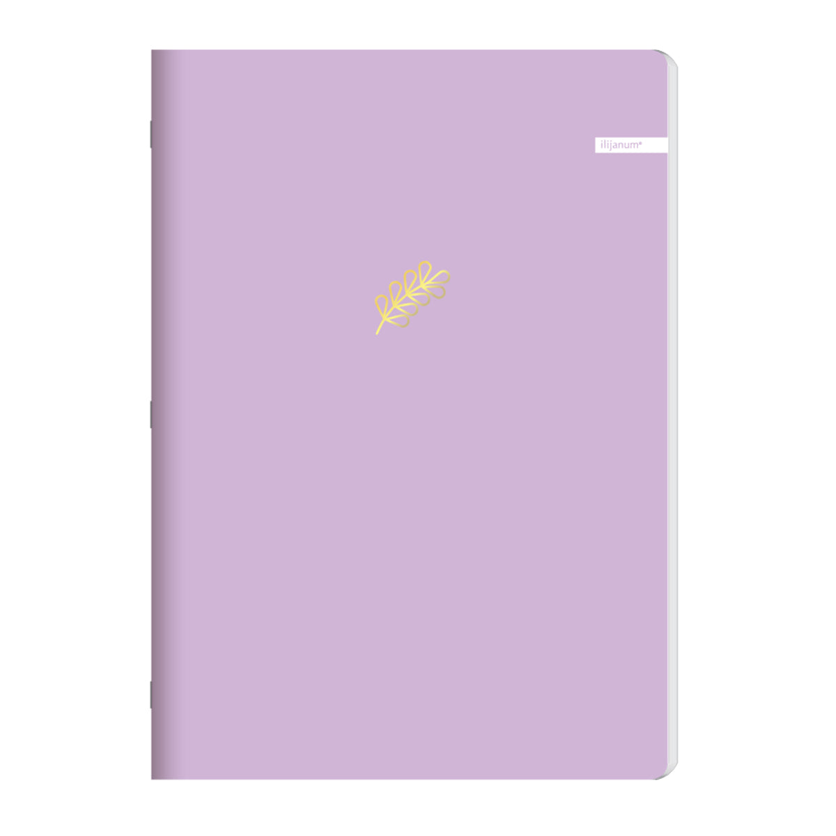Caiet A4 capsat, 60 file dictando, 70g/mp, coperta soft touch Caiet A4 capsat, 60 file dictando, 70g/mp, coperta soft touch